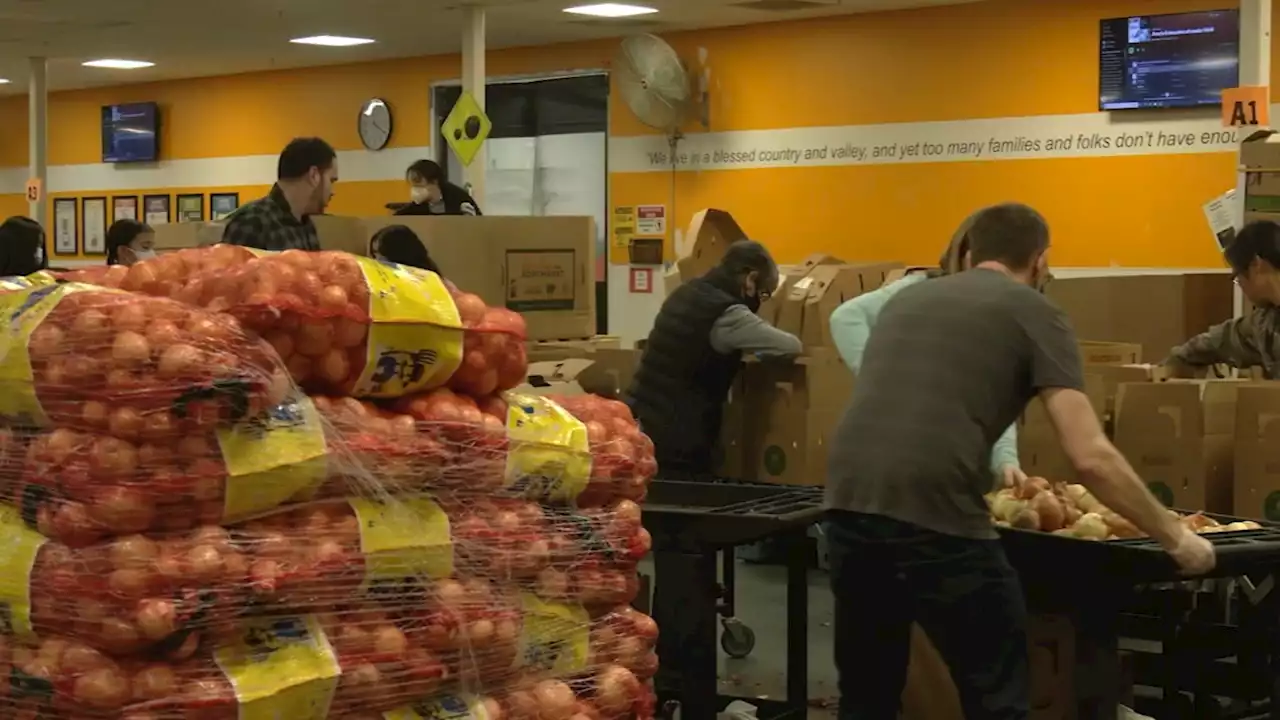 Bay Area food banks experiencing critical volunteer shortage despite higher need