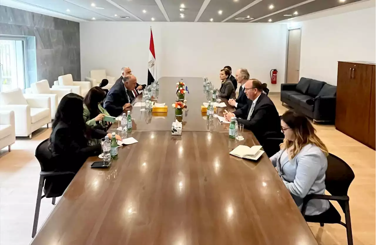 وزير الخارجية يؤكد حرص مصر على التنسيق بين اللجنة الوزارية العربية حول سوريا والأمم المتحدة لحلحلة الأزمة |صور - بوابة الأهرام