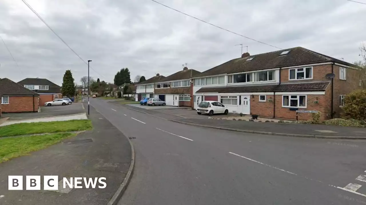 Boy, 16, arrested after dog-walker hit by car