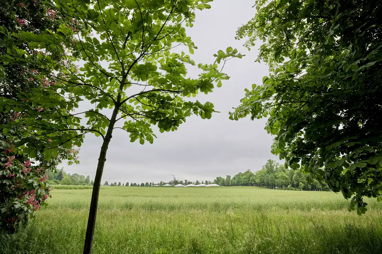 Landvergabe im Baurecht – Die allerletzte Abstimmung zum Viererfeld