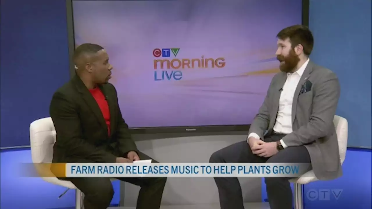 Playing music for plants