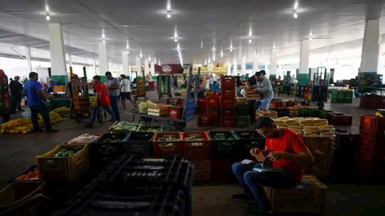 Brazil inflation hits 2-1/2 year low; cenbank pressured to lower rates