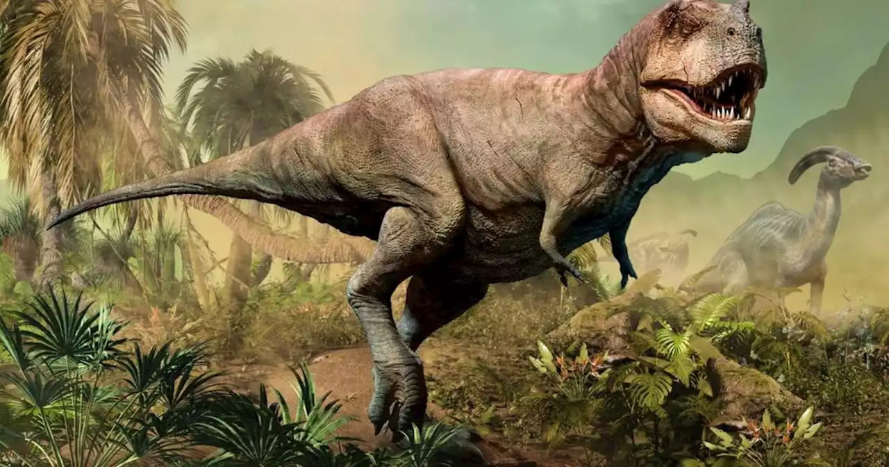 Jurassic World real: estudio afirma que había miles de millones de T. Rex habitando la Tierra