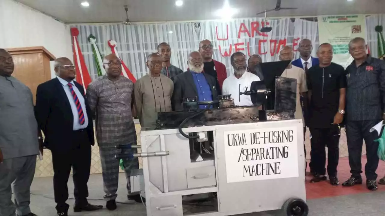 IMSU launches Ukwa de-husking machine to enhance food production | The Guardian Nigeria News - Nigeria and World News