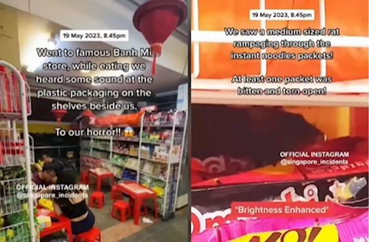 'We saw a medium-sized rat rampaging through the instant noodles packets!' Customers allegedly find rat at a Banh Mi stall - Singapore News