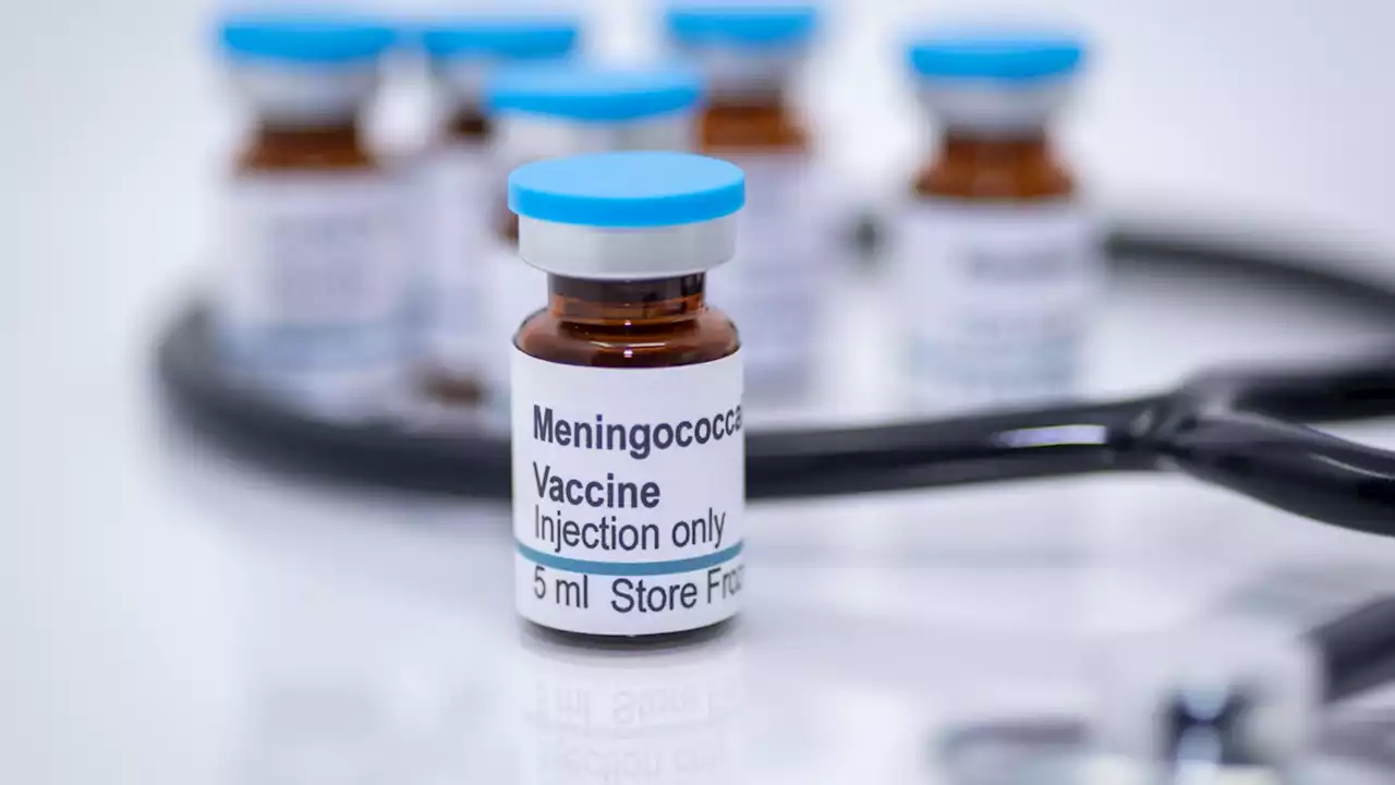 Meningitis vaccine successfully induces immune response against five bacterial strains