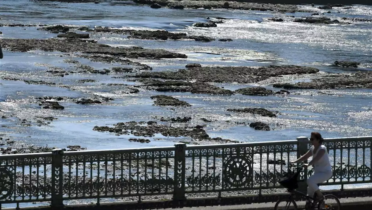 Sécheresse en Haute-Garonne : comment le département s'y prépare