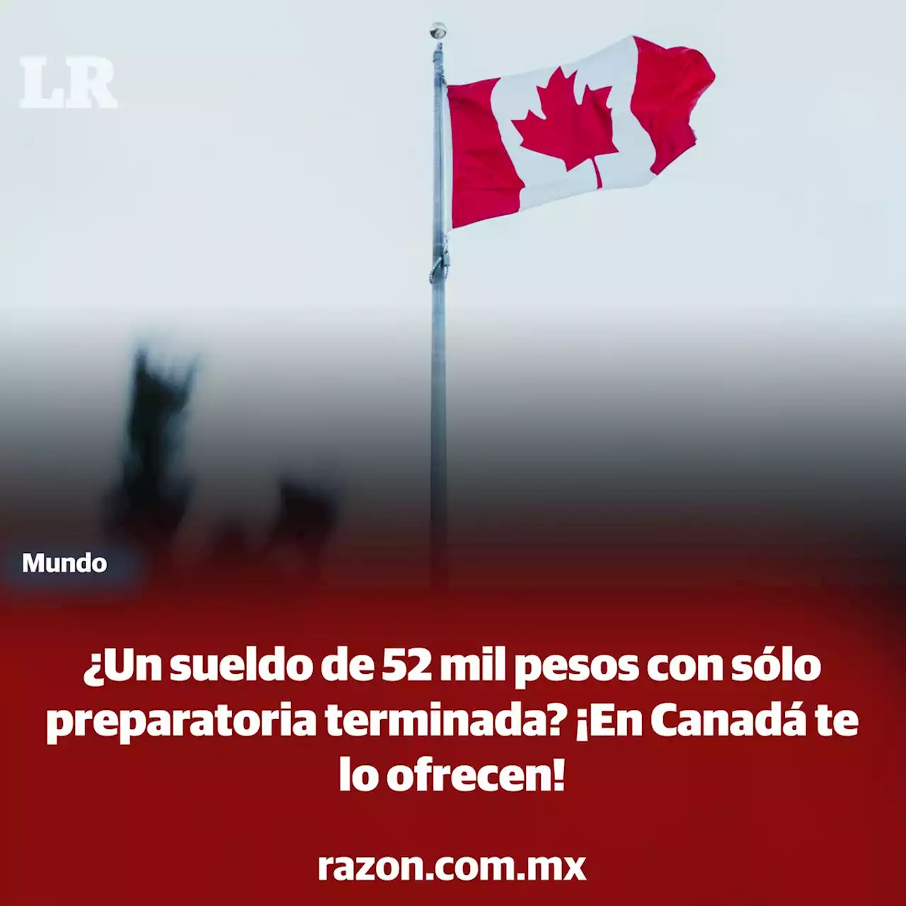 ¿Un sueldo de 52 mil pesos con sólo preparatoria terminada? ¡En Canadá te lo ofrecen!