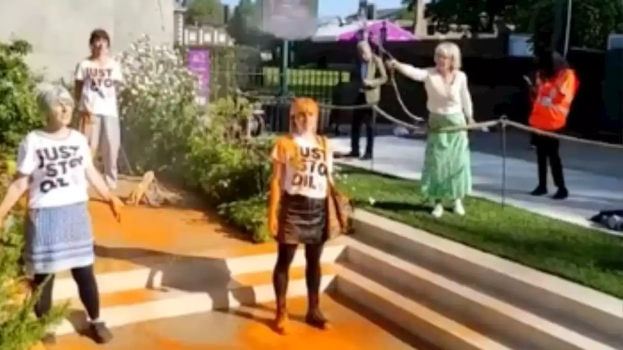 Have-a-go hero hoses Just Stop Oil activists after Chelsea Flower Show orange powder stunt