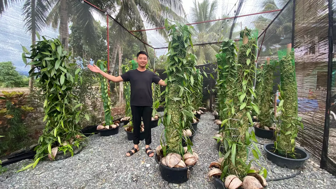 Career switch: Seafarer leaves life at sea to promote vanilla farming in Sarangani