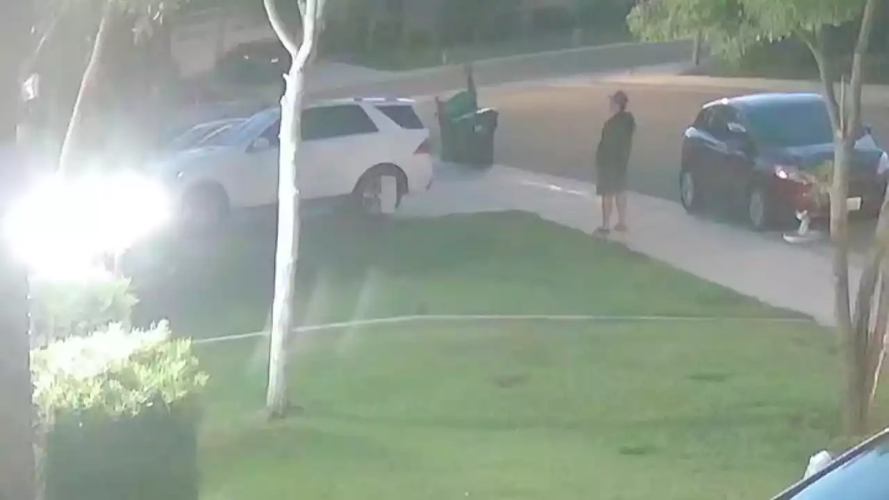 Video Shows Moments Man Tries to Kidnap 10-Year-Old Girl in California