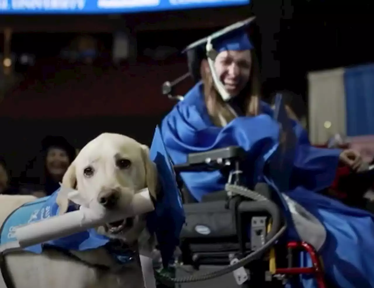 Good boy! N.J. dog gets college diploma after accompanying student to every class.