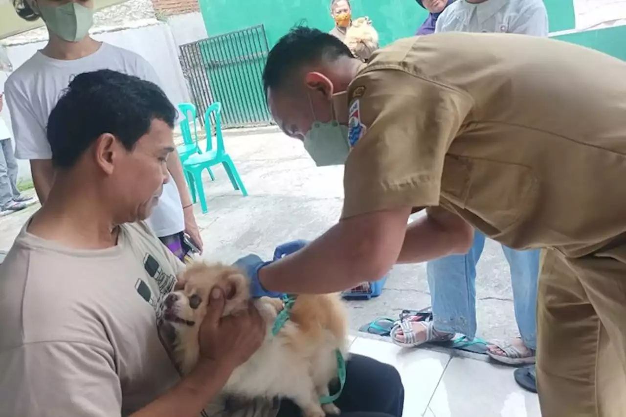 Vaksinasi Hewan Gratis di Cimahi, 1.900 Dosis Vaksin Flu Burung dan Rabies Disiapkan