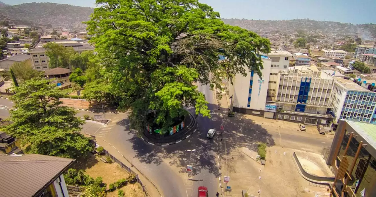 Sierra Leone. Una tempesta abbatte il secolare 'Cotton Tree' simbolo della nazione