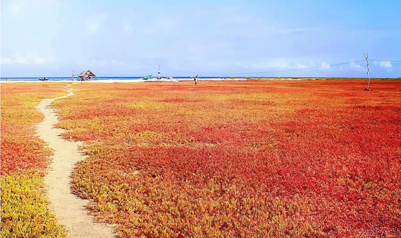 What makes Bohol Island the Philippines’ first UNESCO global geopark?