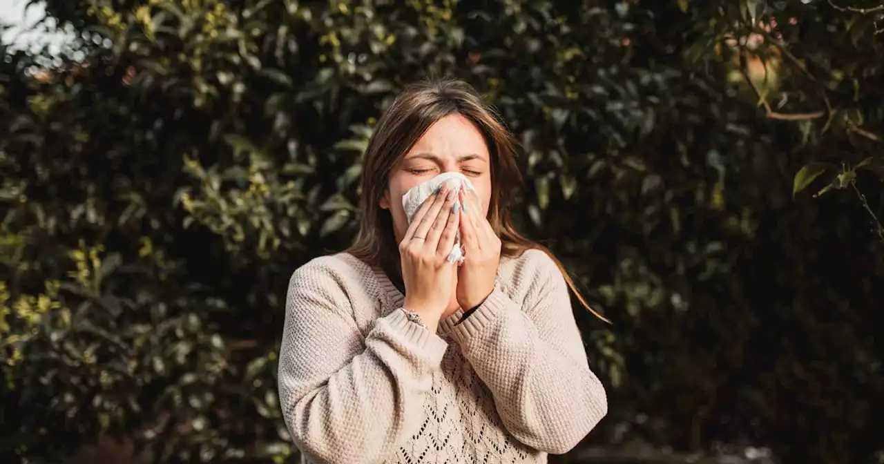 A guide for hay fever sufferers and tips to help combat symptoms