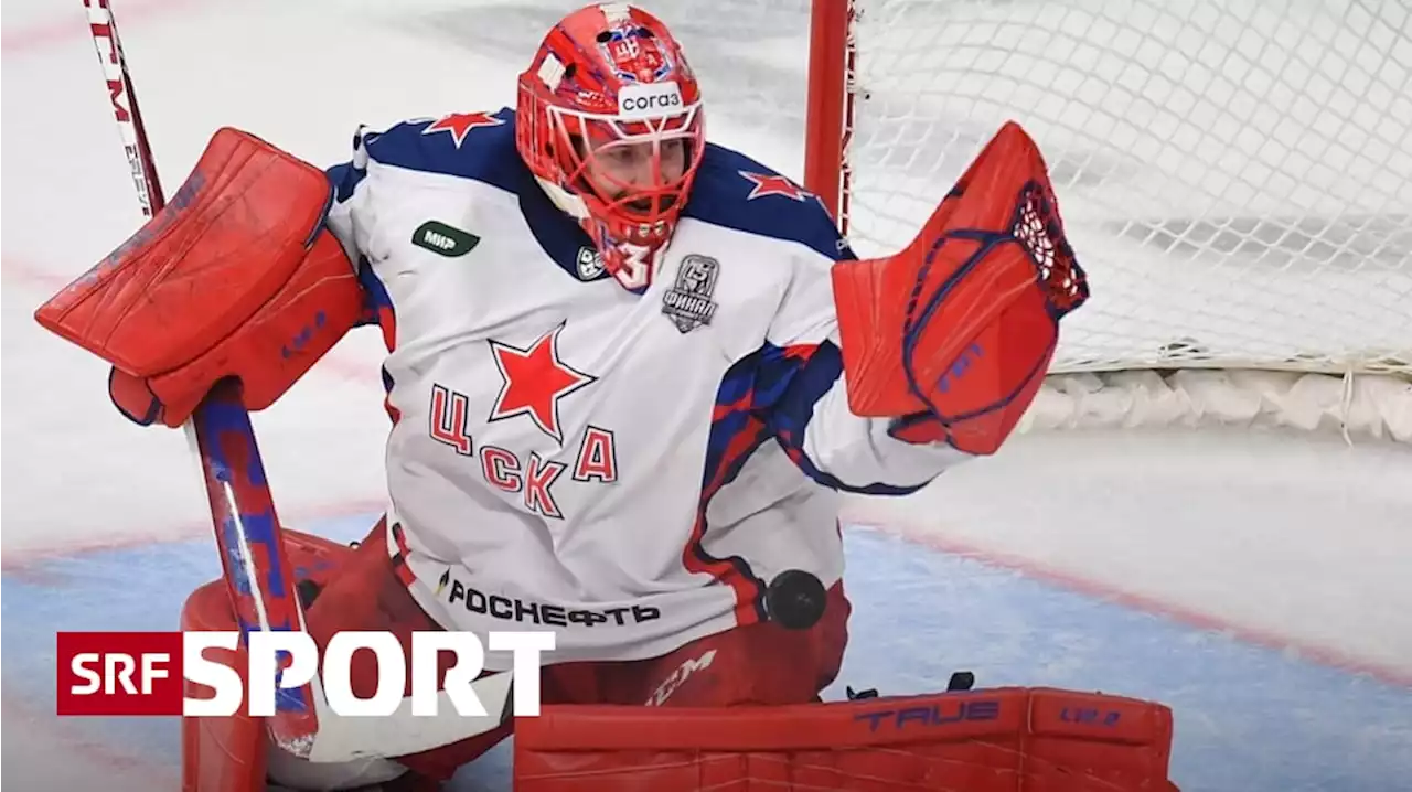 News aus dem Eishockey - Auch der SCB verpflichtet einen ausländischen Goalie