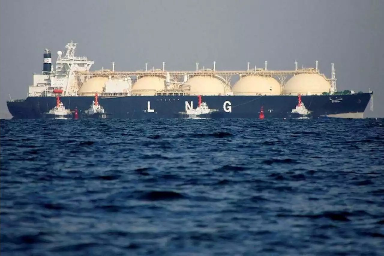 As LNG investment booms, a tanker glut is on the horizon: Report