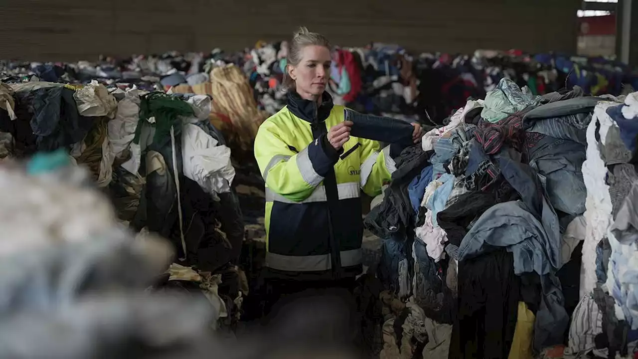 Sysav hanterar 36 ton kläder om dagen: ”Kallas för Malmös eget bomullsfält”