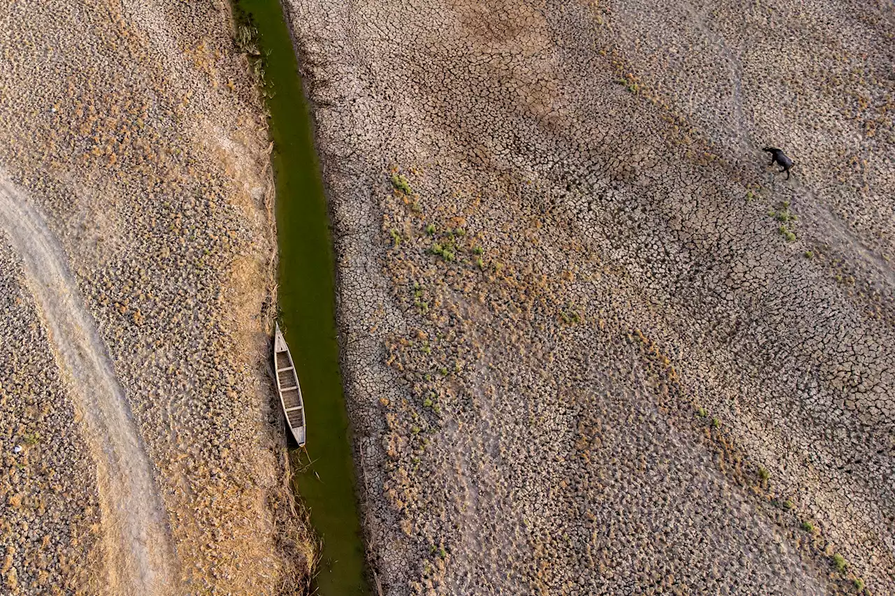 Klimakrise im Irak – Der Streit ums Wasser von Euphrat und Tigris eskaliert