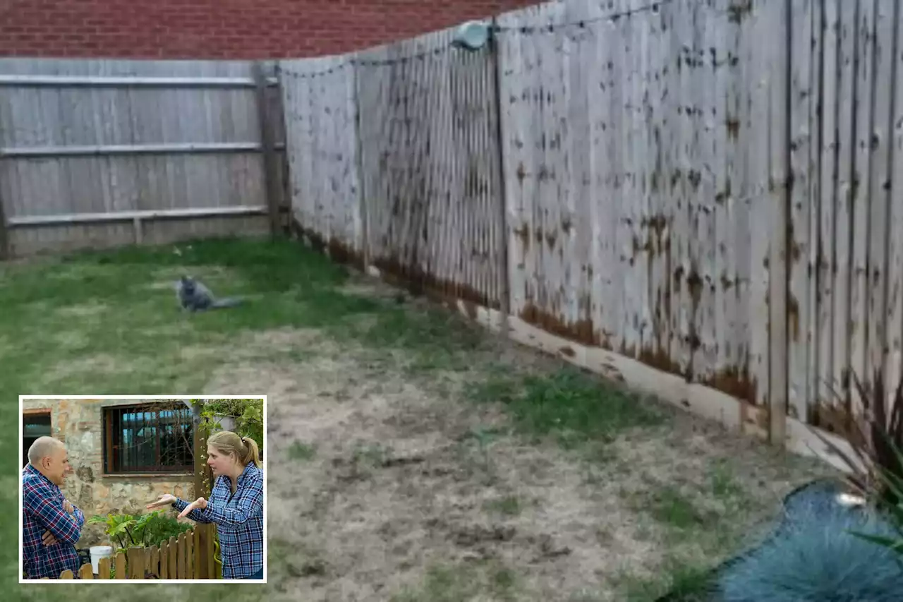 My neighbour painted my fence & now it's ruined - people say I’m overreacting