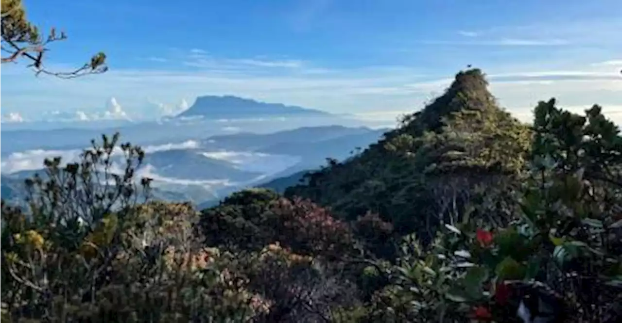 Malaysia’s third tallest mountain Sinsing officially measured at 2,586m