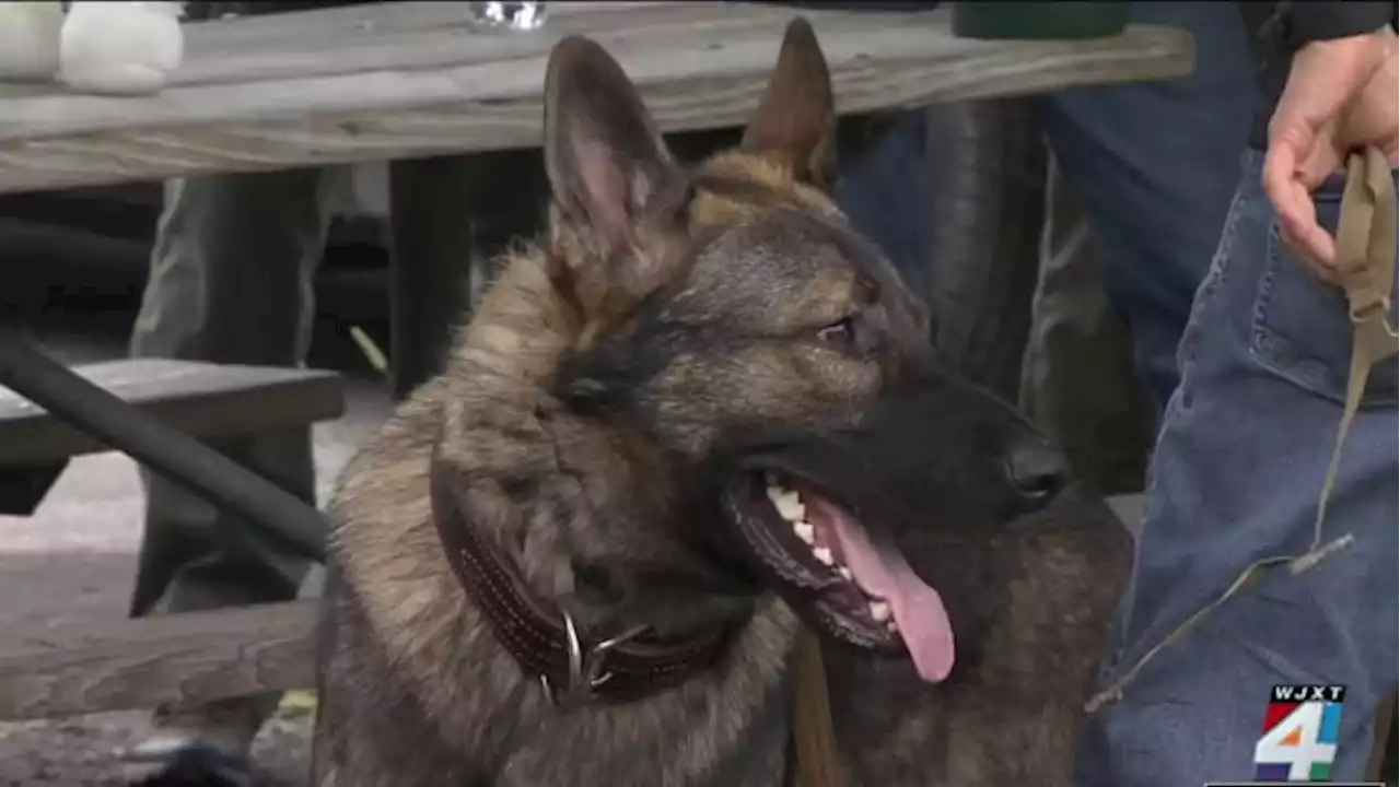 K-9 teams, first responders learn how to keep police dogs safe