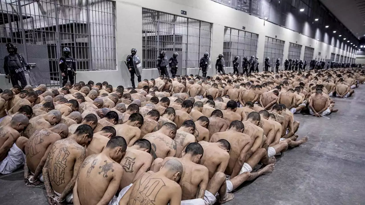 The Human Cost of El Salvador's Massive Gang Crackdown