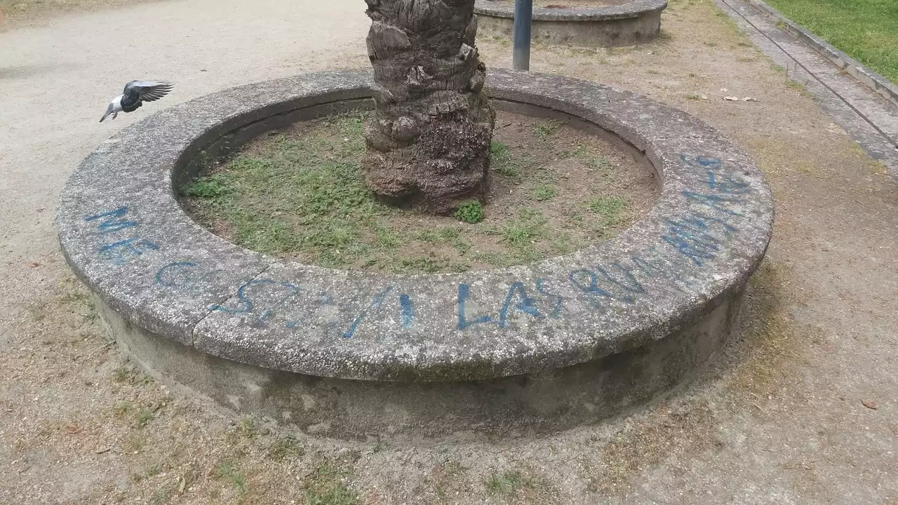 Cazan a una niña de 13 años haciendo pintadas en un jardín de Ourense