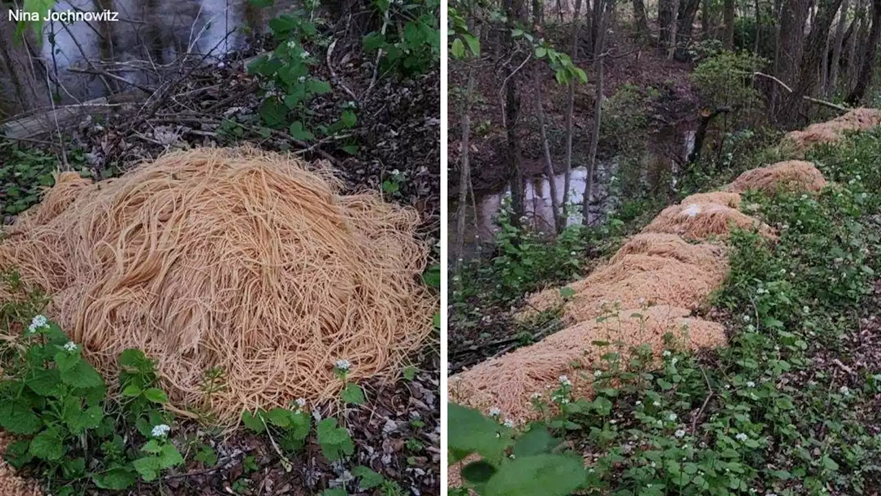 No charges filed against man who dumped 500 pounds of pasta in Old Bridge