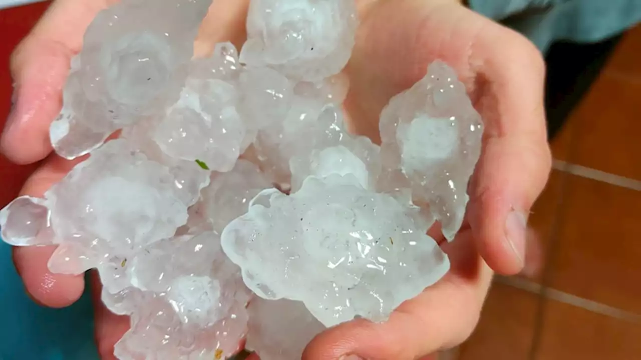 Golf ball-sized hail reported as storms hit NSW coast