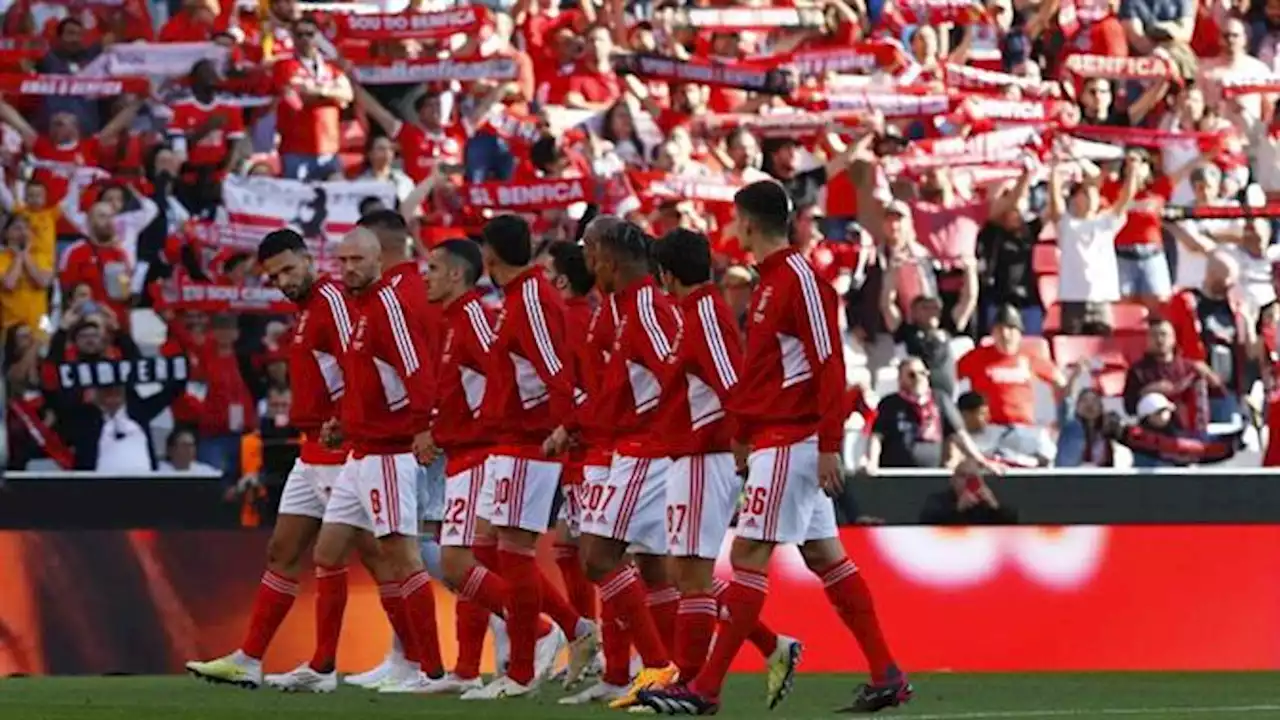 Luz tem sido a caixa-forte da águia (Benfica)