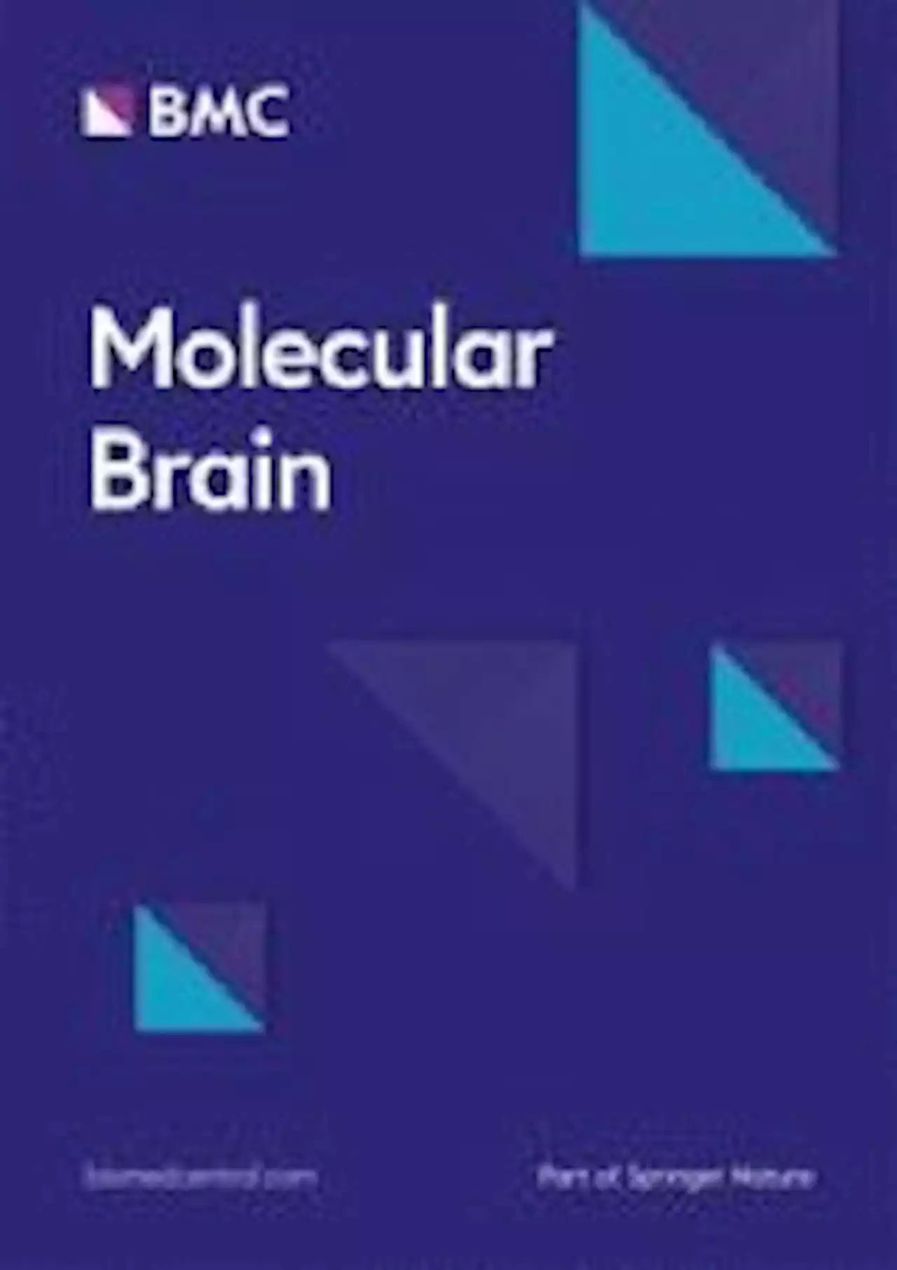 Ankyrin2 is essential for neuronal morphogenesis and long-term courtship memory in Drosophila - Molecular Brain