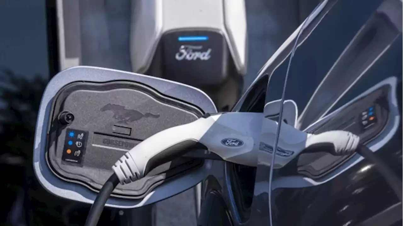 Ford taps Tesla superchargers in rare partnership among rivals - BNN Bloomberg