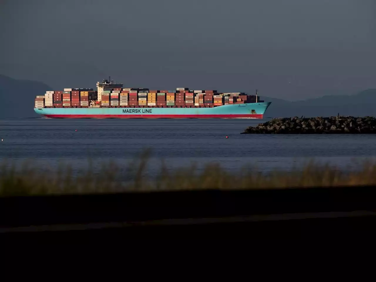 Environmental groups launch legal challenge against B.C.'s Roberts Bank port project