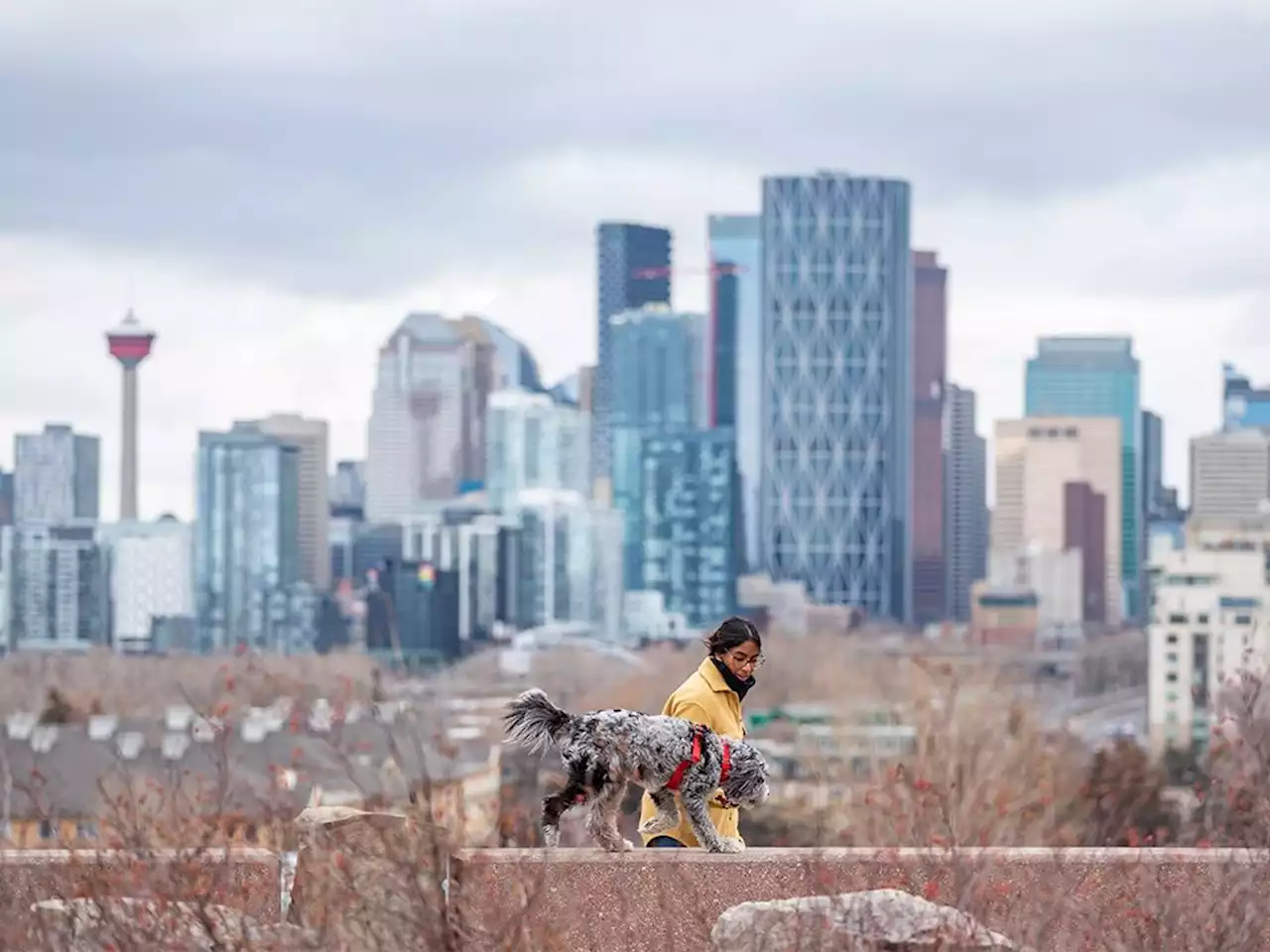 Poll shows NDP jumping ahead in crucial Calgary battleground