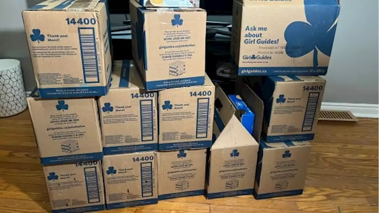 Girl Guide unit feeling relief after police recover 12 cases of stolen cookies | CBC News