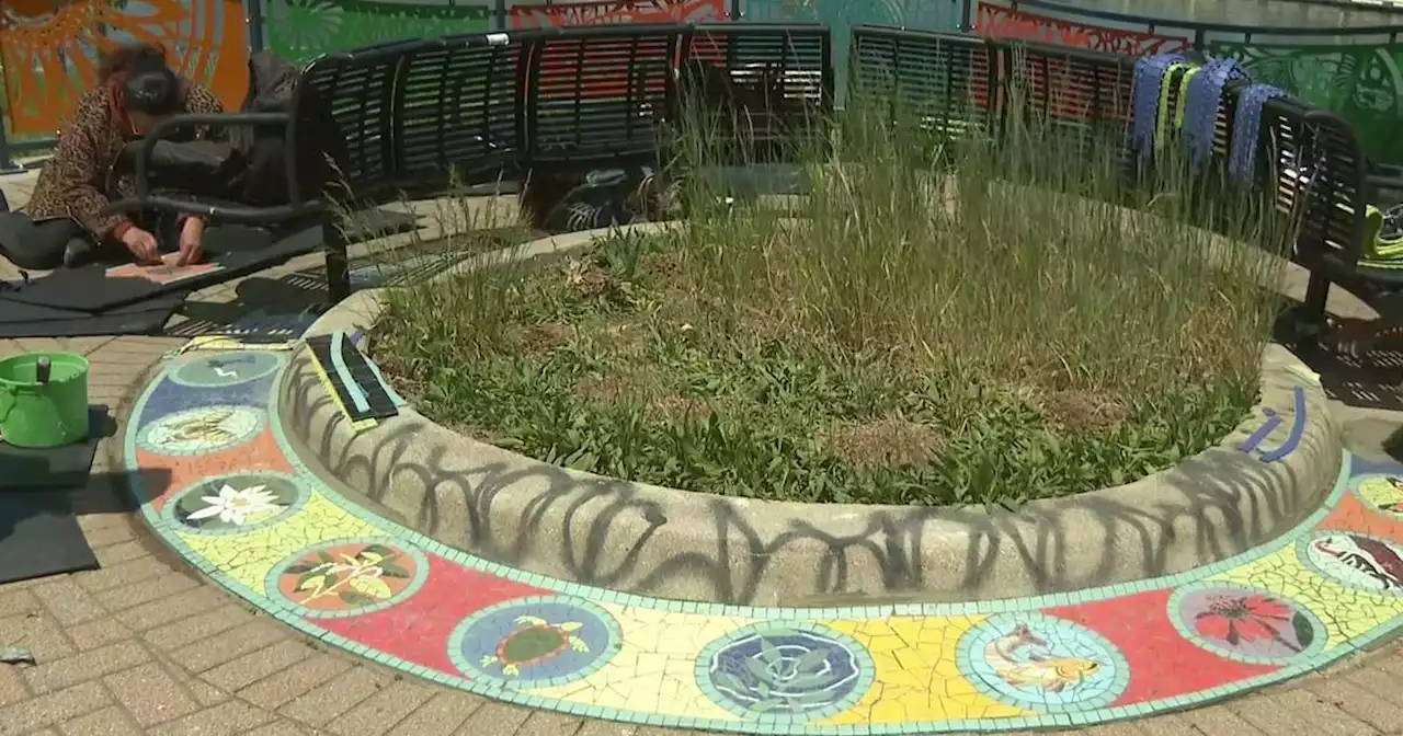 The environment is at the center of new mosaic Pilsen art project