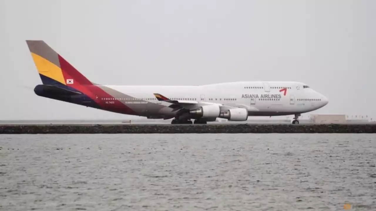 Asiana plane from South Korea's Jeju island to Daegu city lands safely after door opens during flight