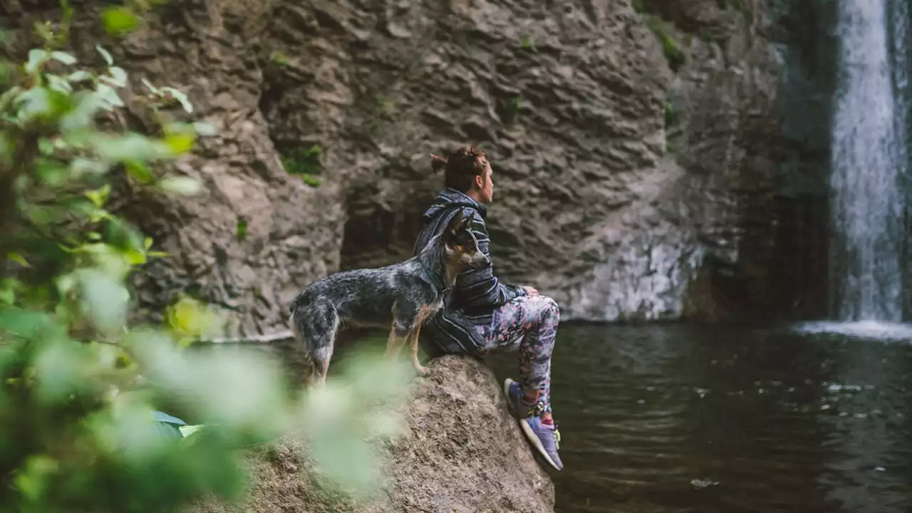 Elle part à la poursuite de son chien qui chasse un lapin, ce qui lui arrive est effroyable