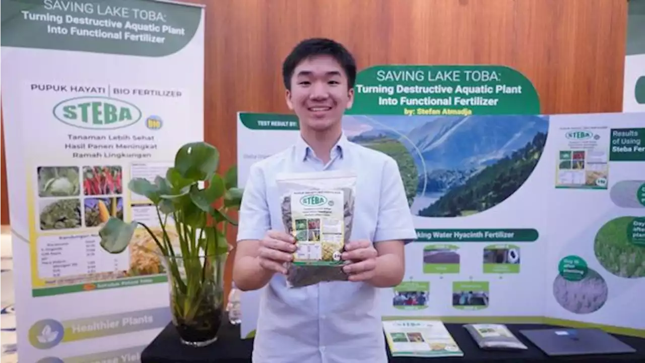 Misi Selamatkan Danau Toba, Eceng Gondok Disulap Jadi Pupuk!