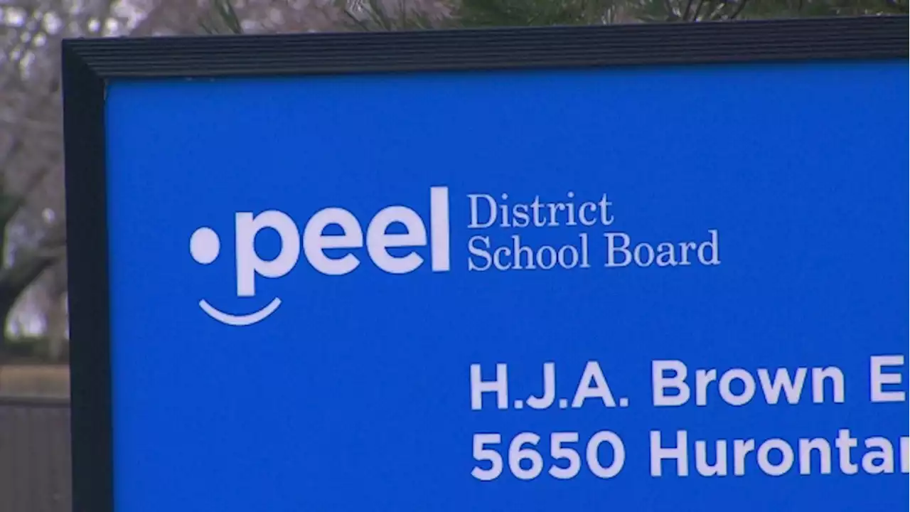 'If we can’t have his name on that structure we don’t want it:' Peel school board scraps plans to name Centre for Black Excellence after late activist