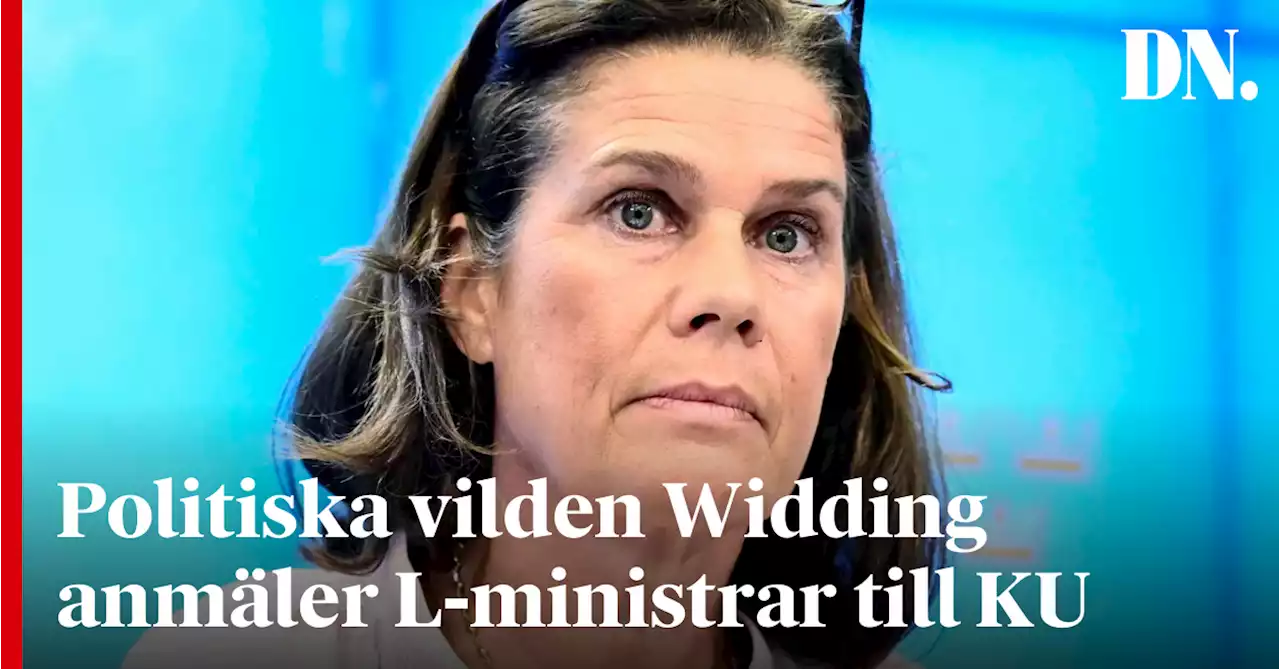 Politiska vilden Widding anmäler L-ministrar till KU