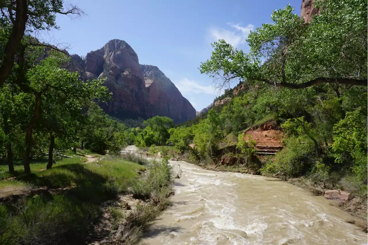 Avoid the crowds at Utah’s Zion National Park with these travel tips