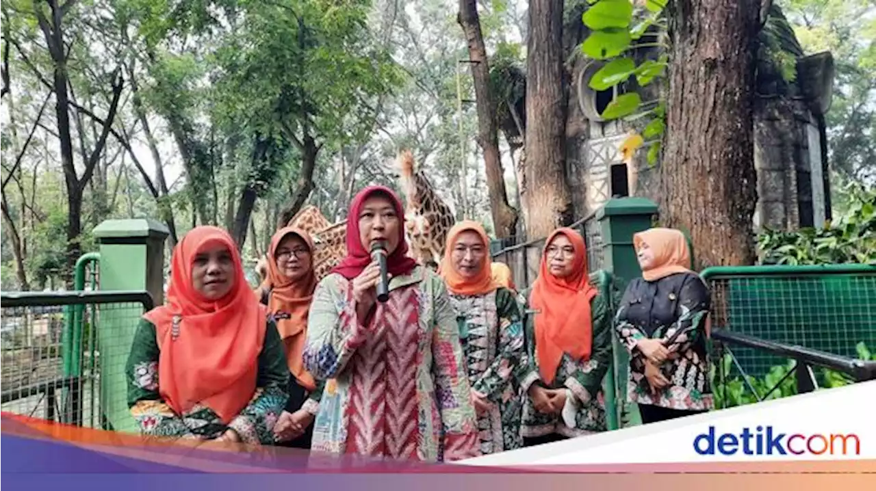 Ragunan Kedatangan Sepasang Komodo, Istri Heru Budi Beri Nama Polita dan Juma