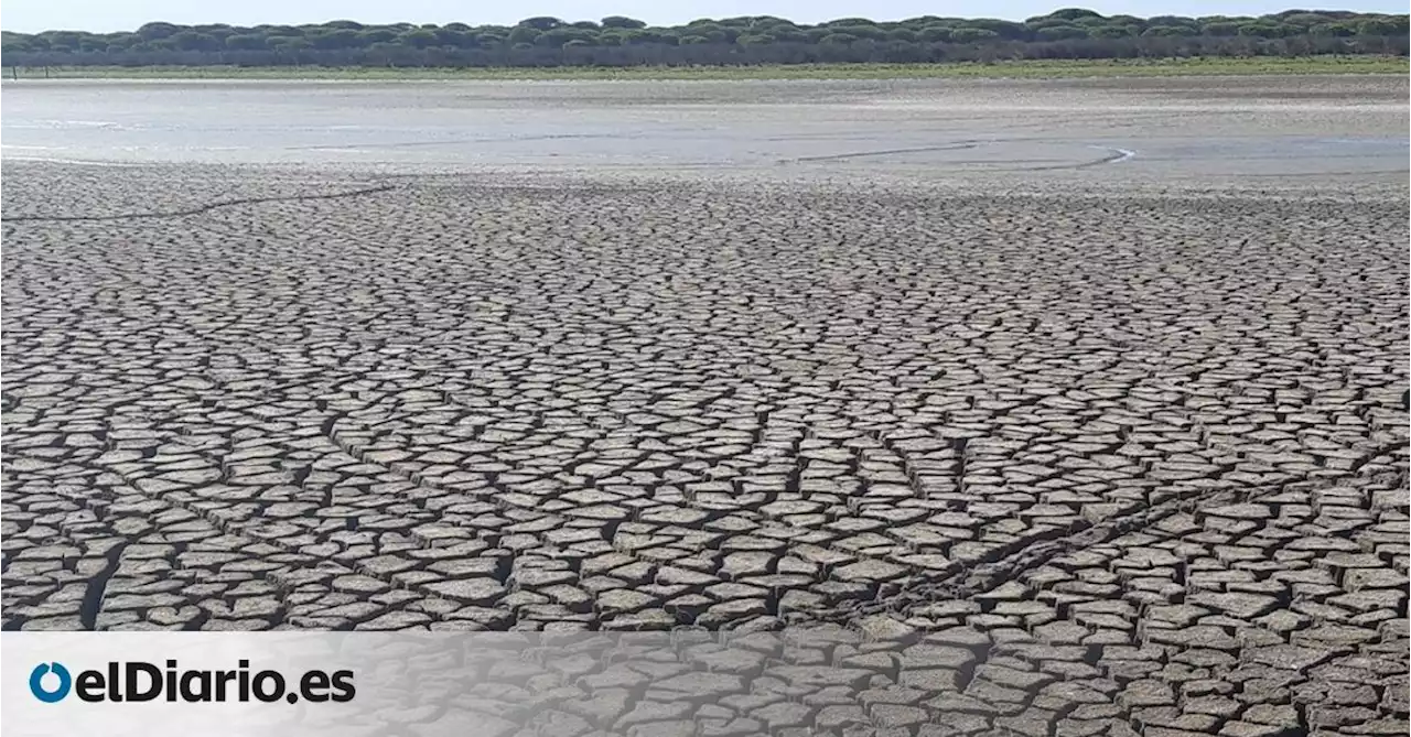 La Unesco avisa: la ley de Doñana del PP 'pone en peligro' su reconocimiento como Patrimonio de la Humanidad