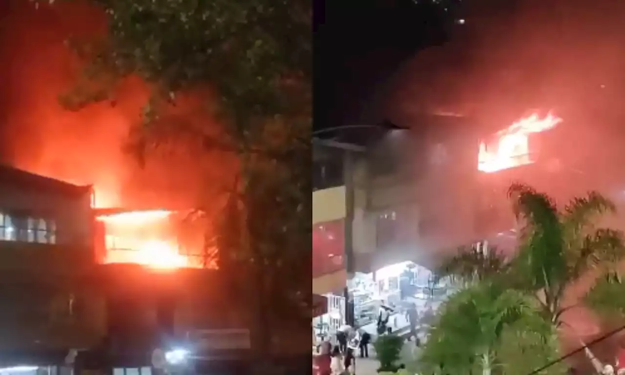 Video: fuerte incendio en una casa dejó tres mascotas muertas; dos gatos y un perro