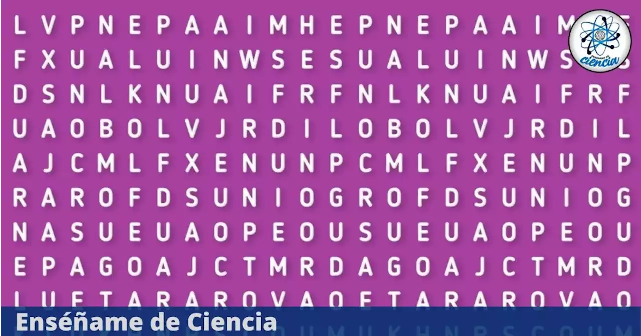 Reto visual del momento: Encuentra la palabra “MIEL” oculta en la sopa de letras