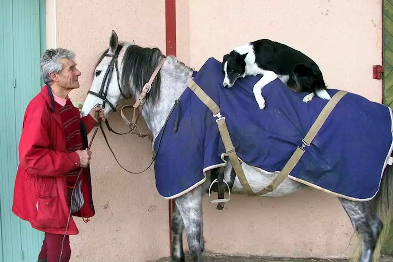 Décès de Jean-Yves Bonnet, passionné hors-norme et pionnier de l'équitation