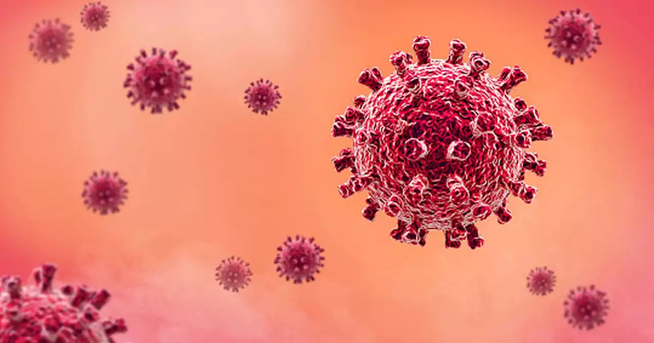 ¿Una nueva pandemia? La advertencia de un virus peor que la covid-19 que alerta al mundo